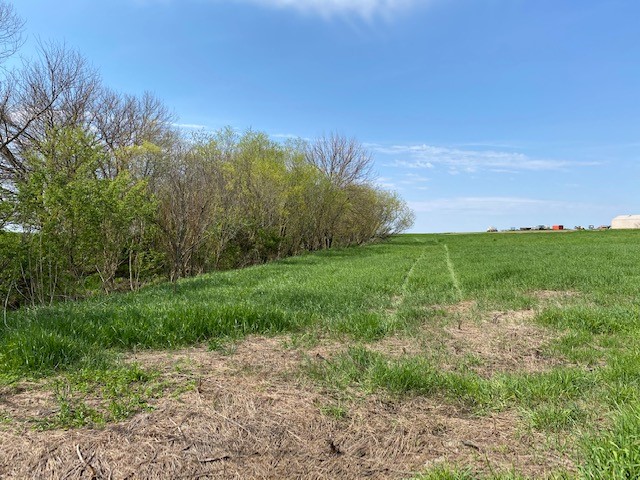 200 N Cr Sidell, IL 61876 - Photo 3 of 11