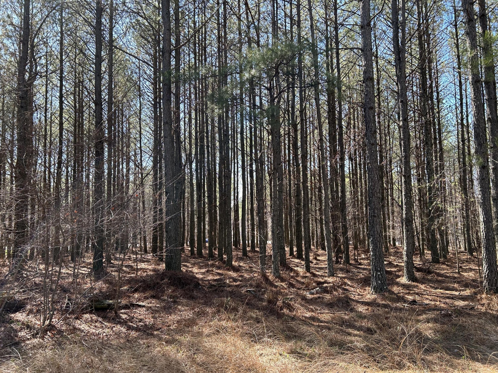 4210 Raulston Fls Road Jasper, TN 37347 - Photo 11 of 29 a view of outdoor space with wooden fence