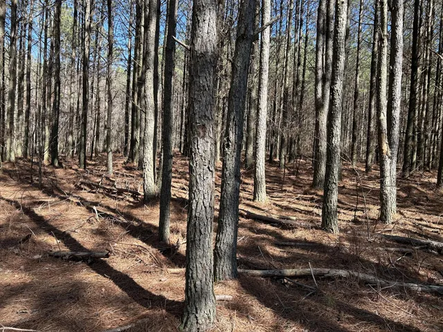 a view of a backyard of the house