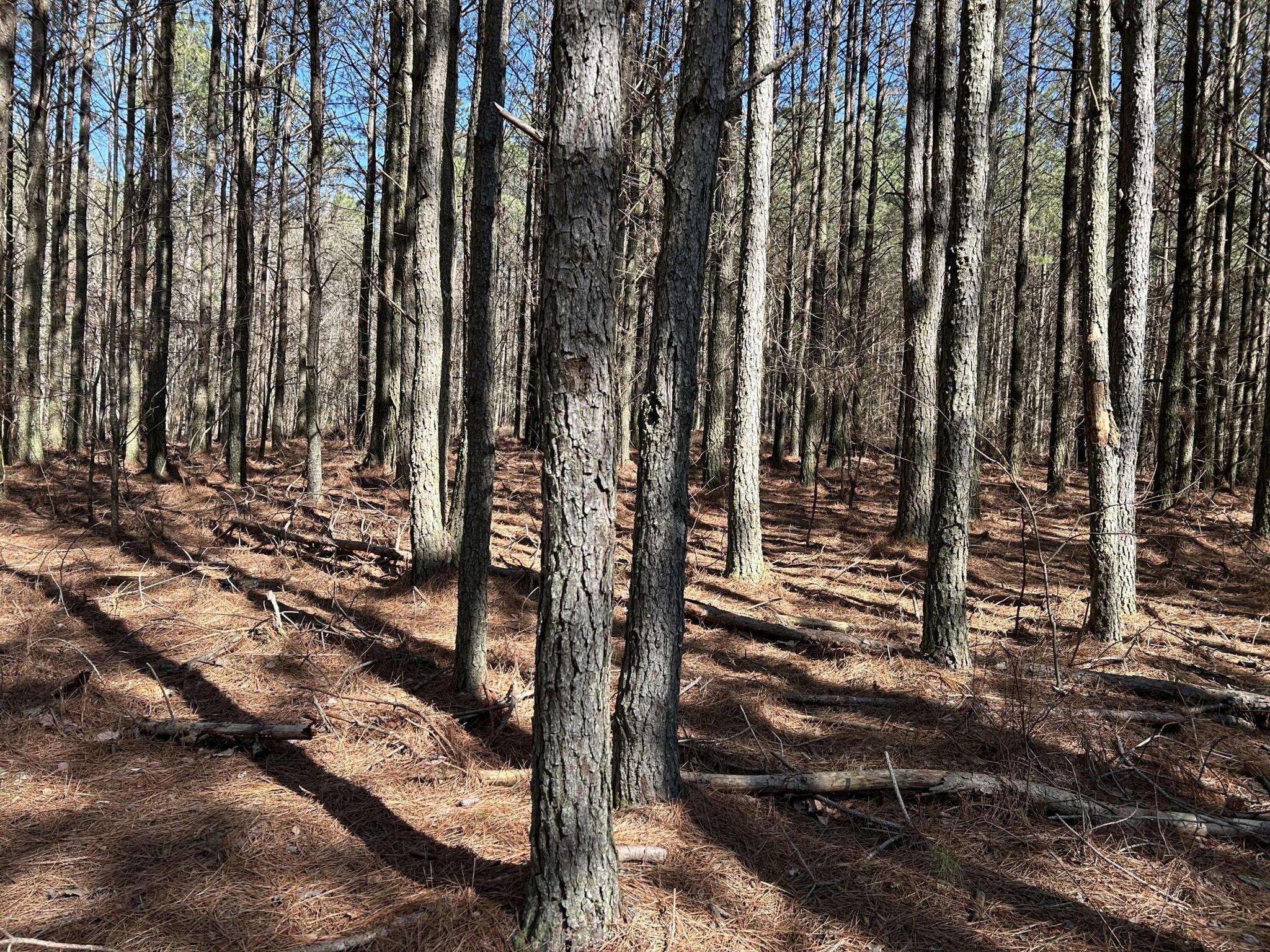 4210 Raulston Fls Road Jasper, TN 37347 - Photo 11 of 29 a view of outdoor space with wooden fence