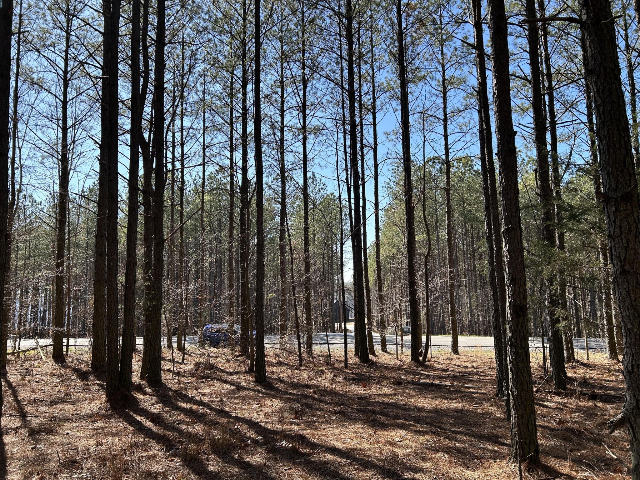 4210 Raulston Fls Road Jasper, TN 37347 - Photo 6 of 29 a view of a park with trees