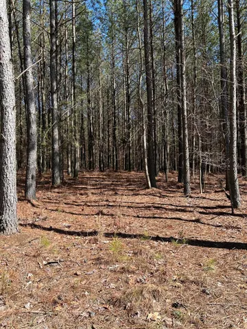 a view of outdoor space with chairs