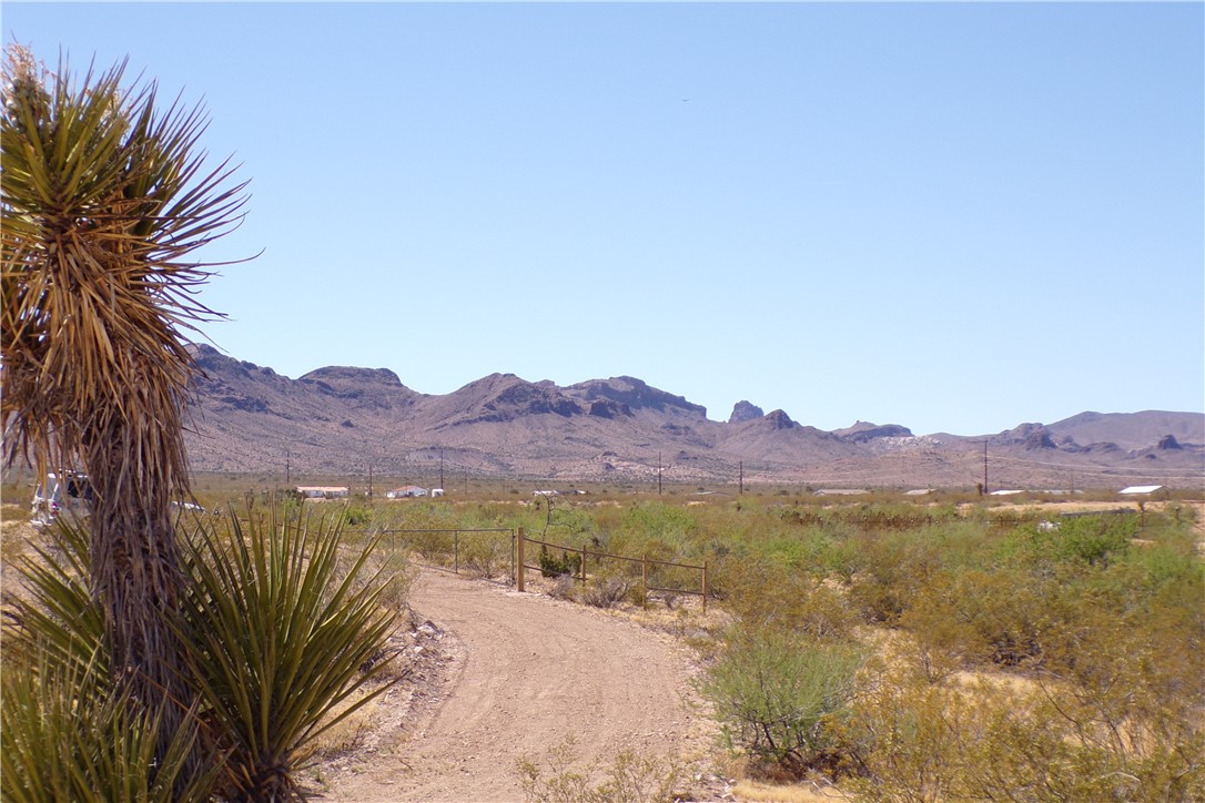1386 Don Luis Road Golden Valley, AZ 86413 - Photo 21 of 47 The property features a desert landscape with natural vegetation and distant mountains under a clear sky