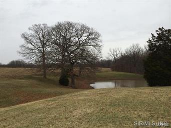 7600 Deer Hill Road Waterloo, IL 62298 - Photo 11 of 13