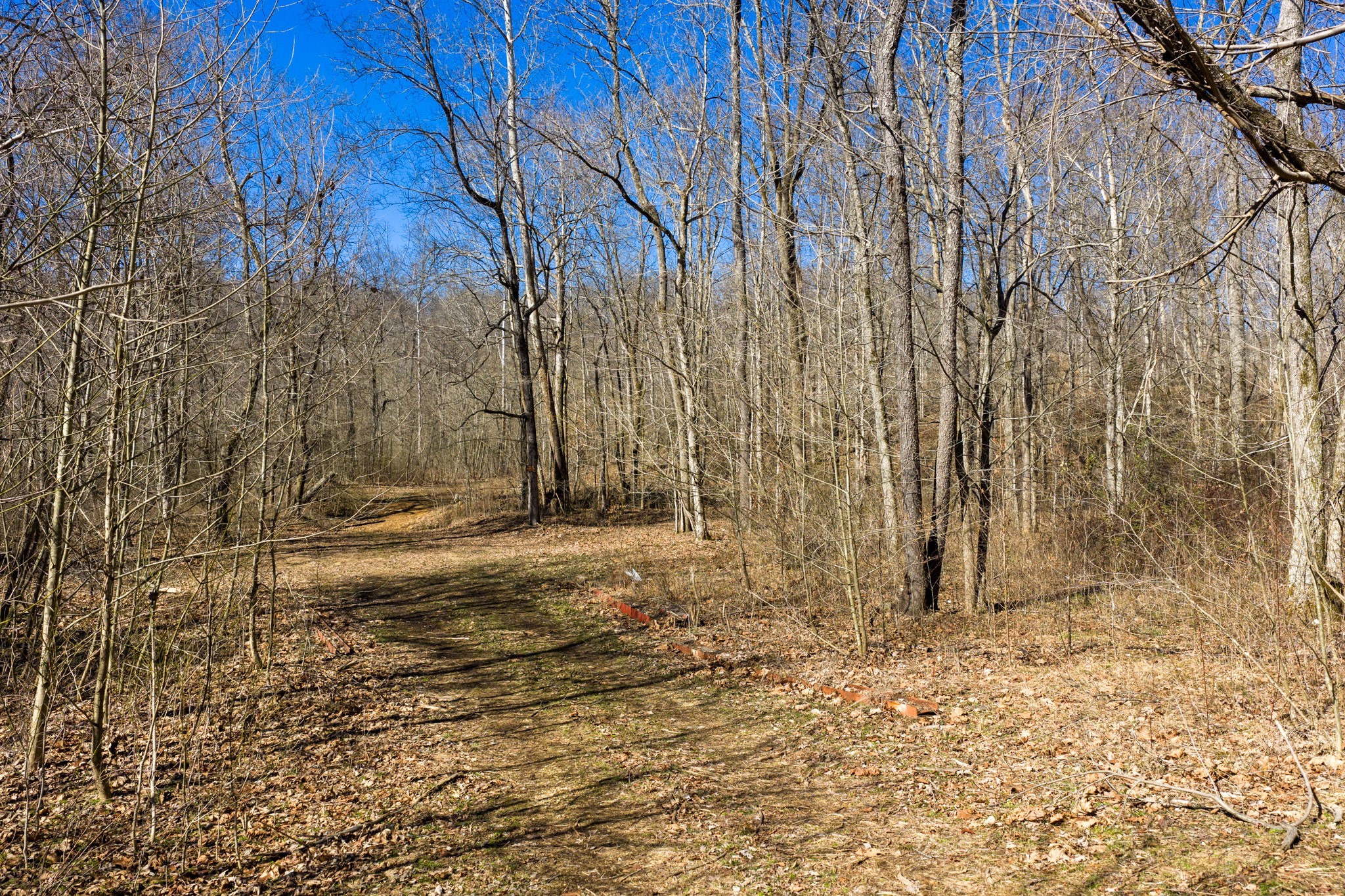 0 Wildcat Road Dickson, TN 37055 - Photo 11 of 37