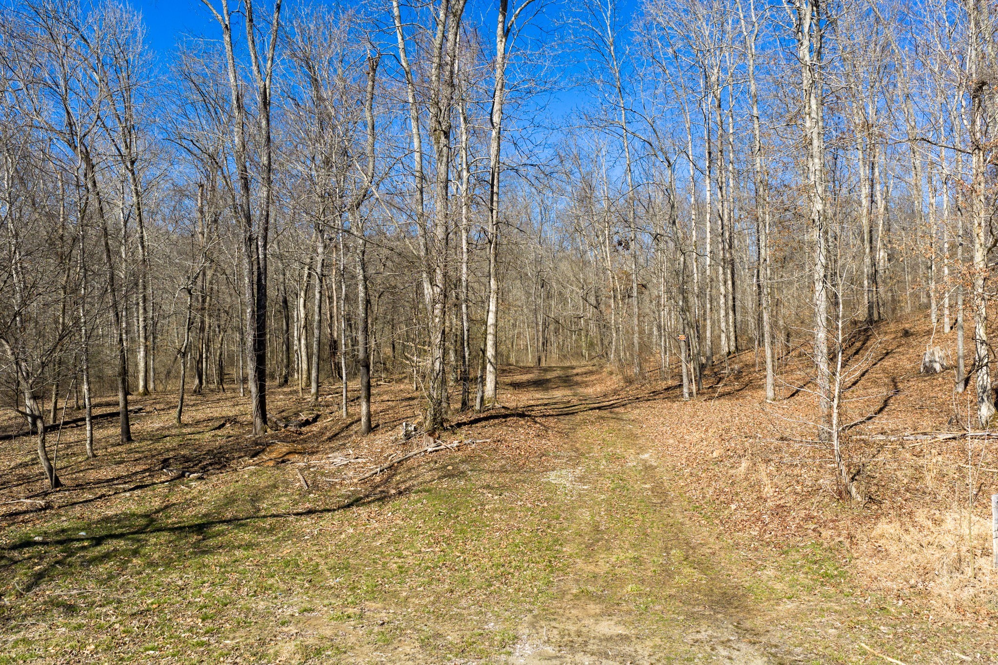 0 Wildcat Road Dickson, TN 37055 - Photo 12 of 37