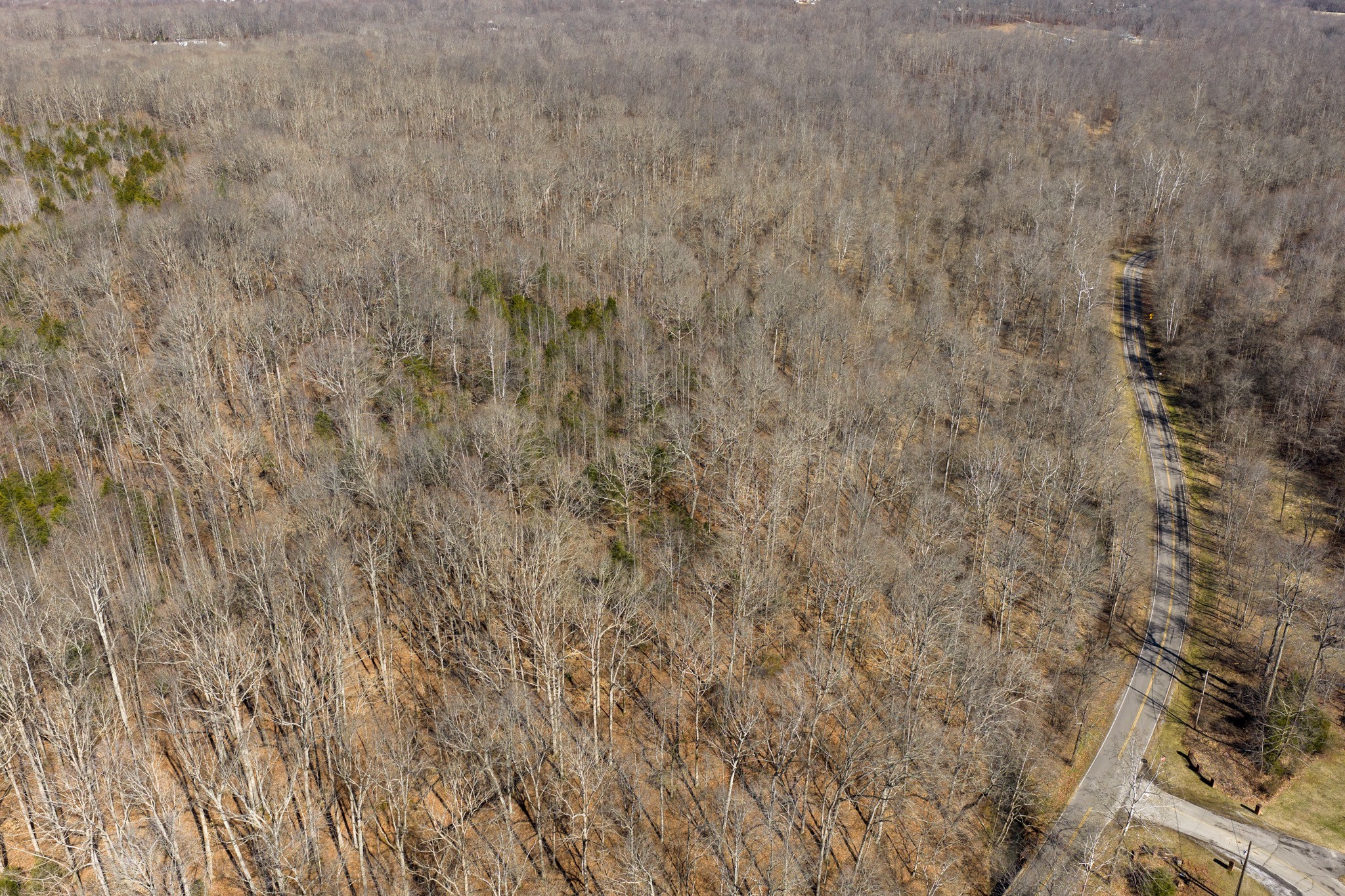 0 Wildcat Road Dickson, TN 37055 - Photo 13 of 37