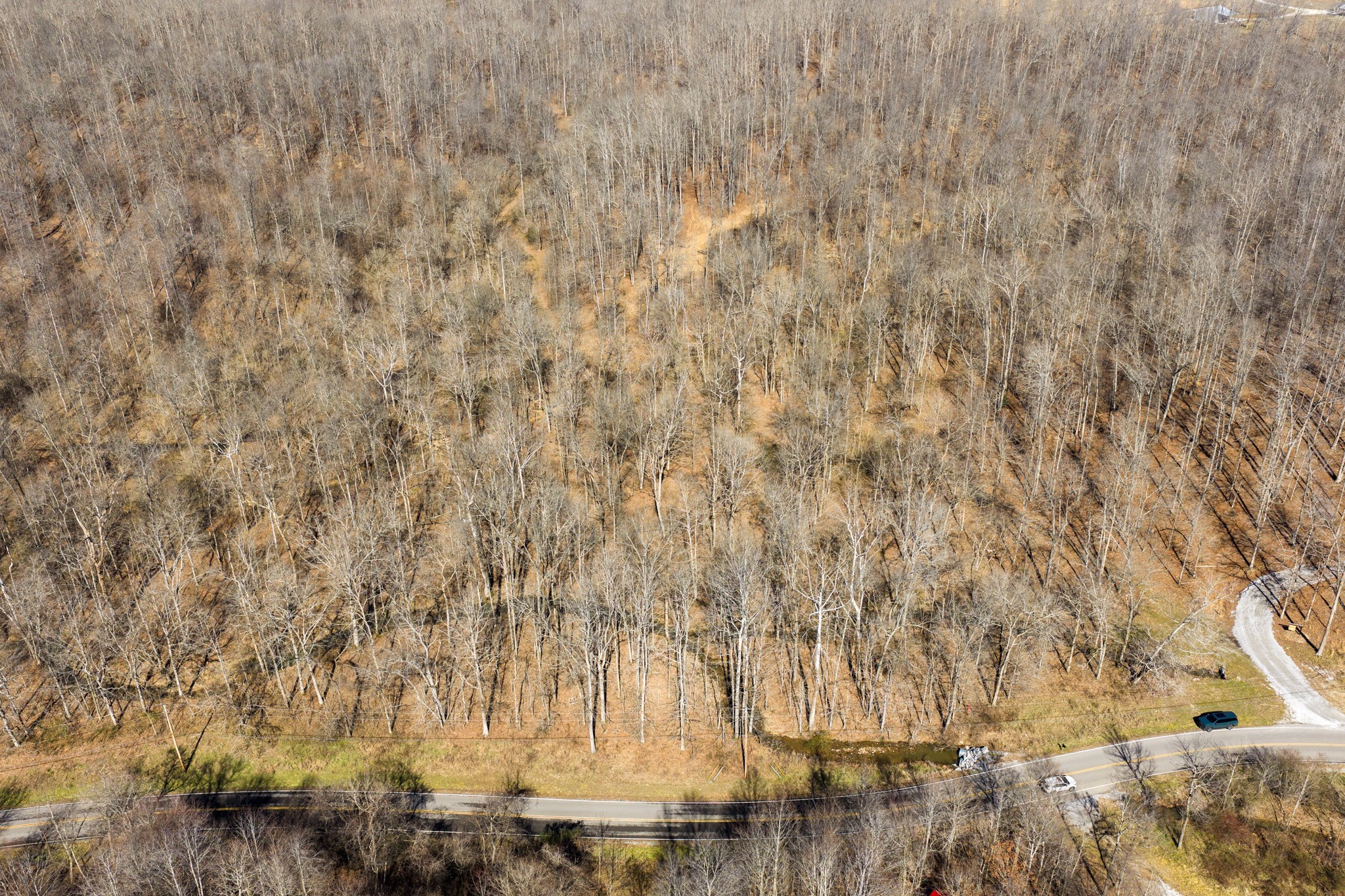 0 Wildcat Road Dickson, TN 37055 - Photo 2 of 37