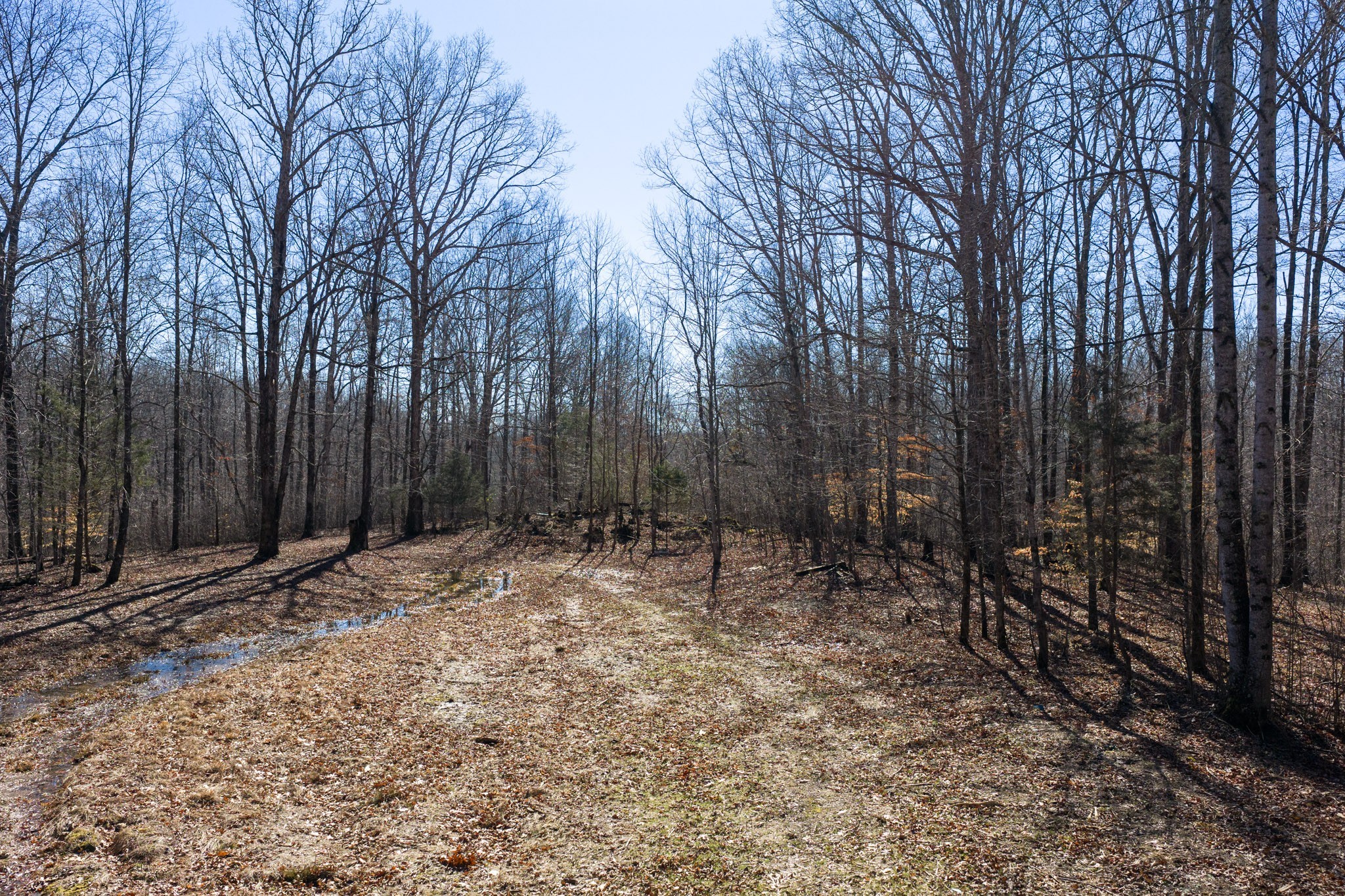 0 Wildcat Road Dickson, TN 37055 - Photo 31 of 37