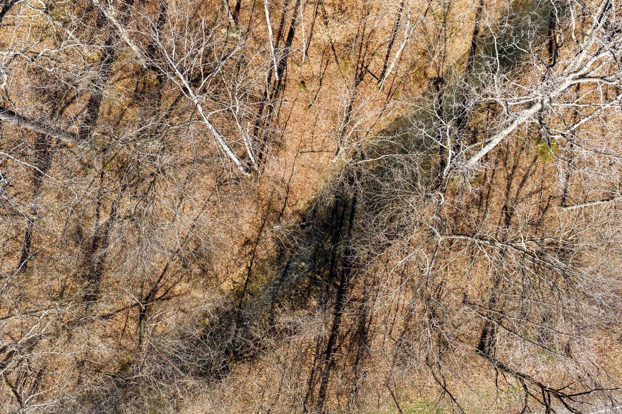 0 Wildcat Road Dickson, TN 37055 - Photo 34 of 37