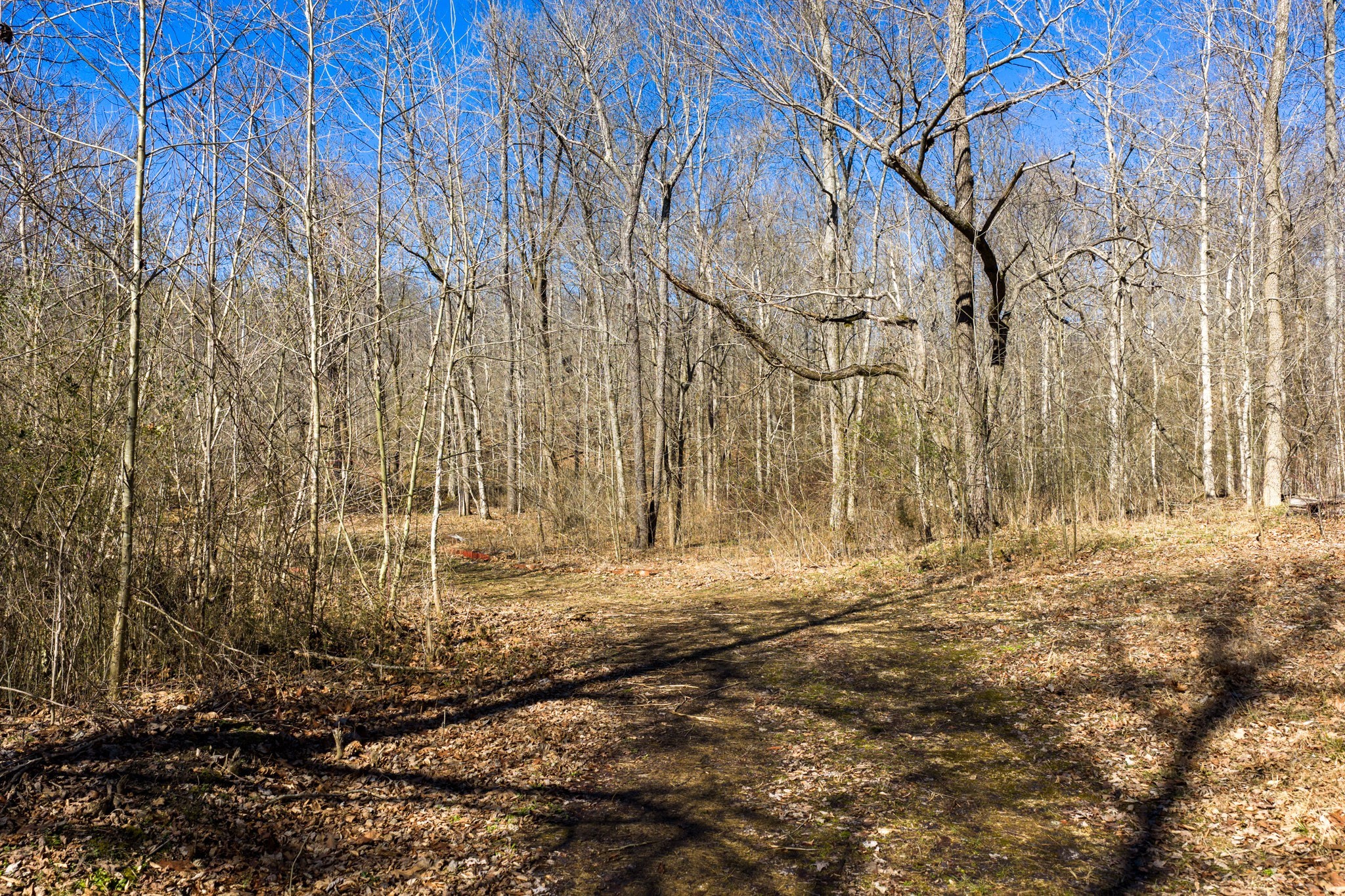 0 Wildcat Road Dickson, TN 37055 - Photo 35 of 37