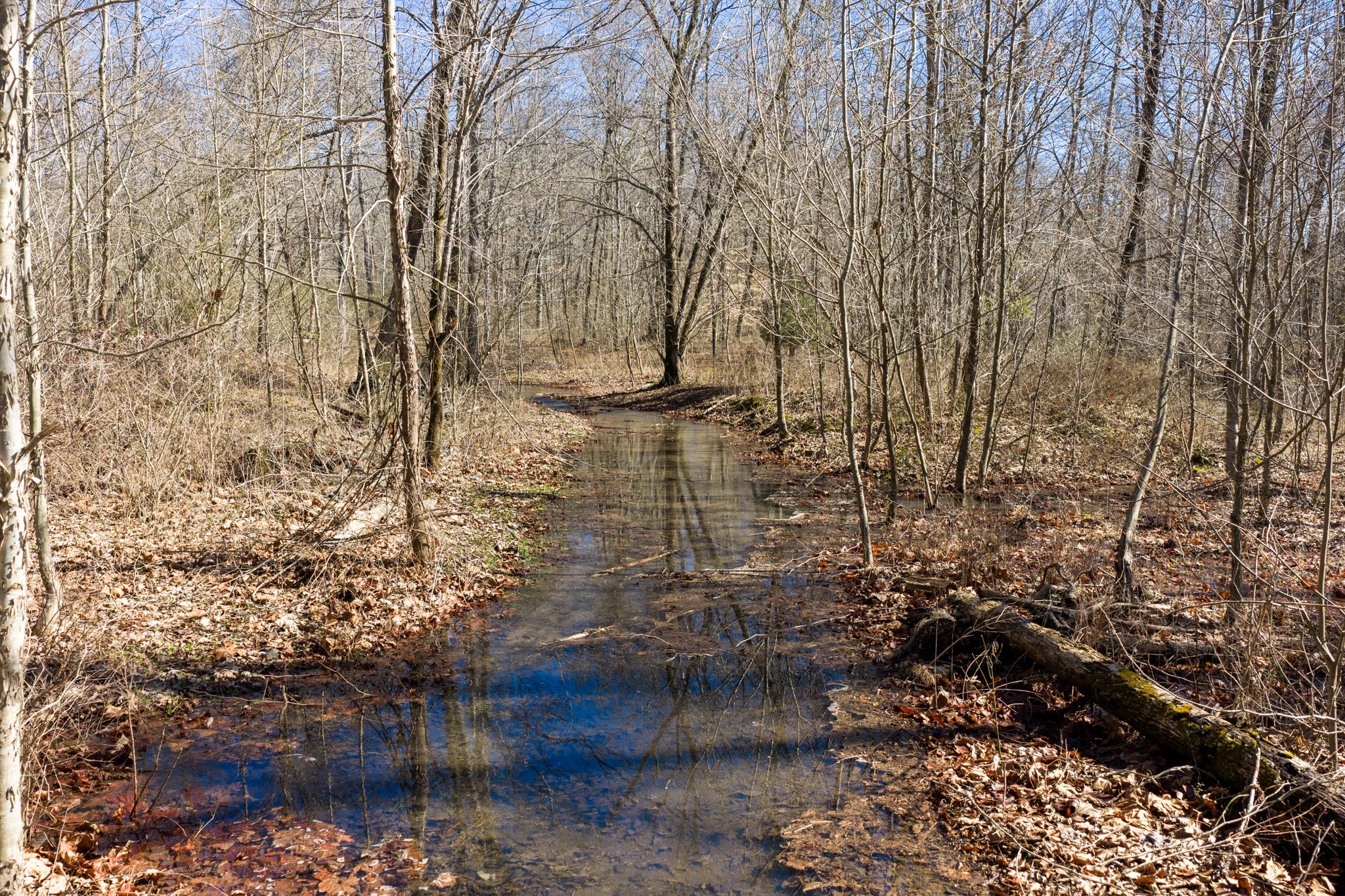 0 Wildcat Road Dickson, TN 37055 - Photo 36 of 37