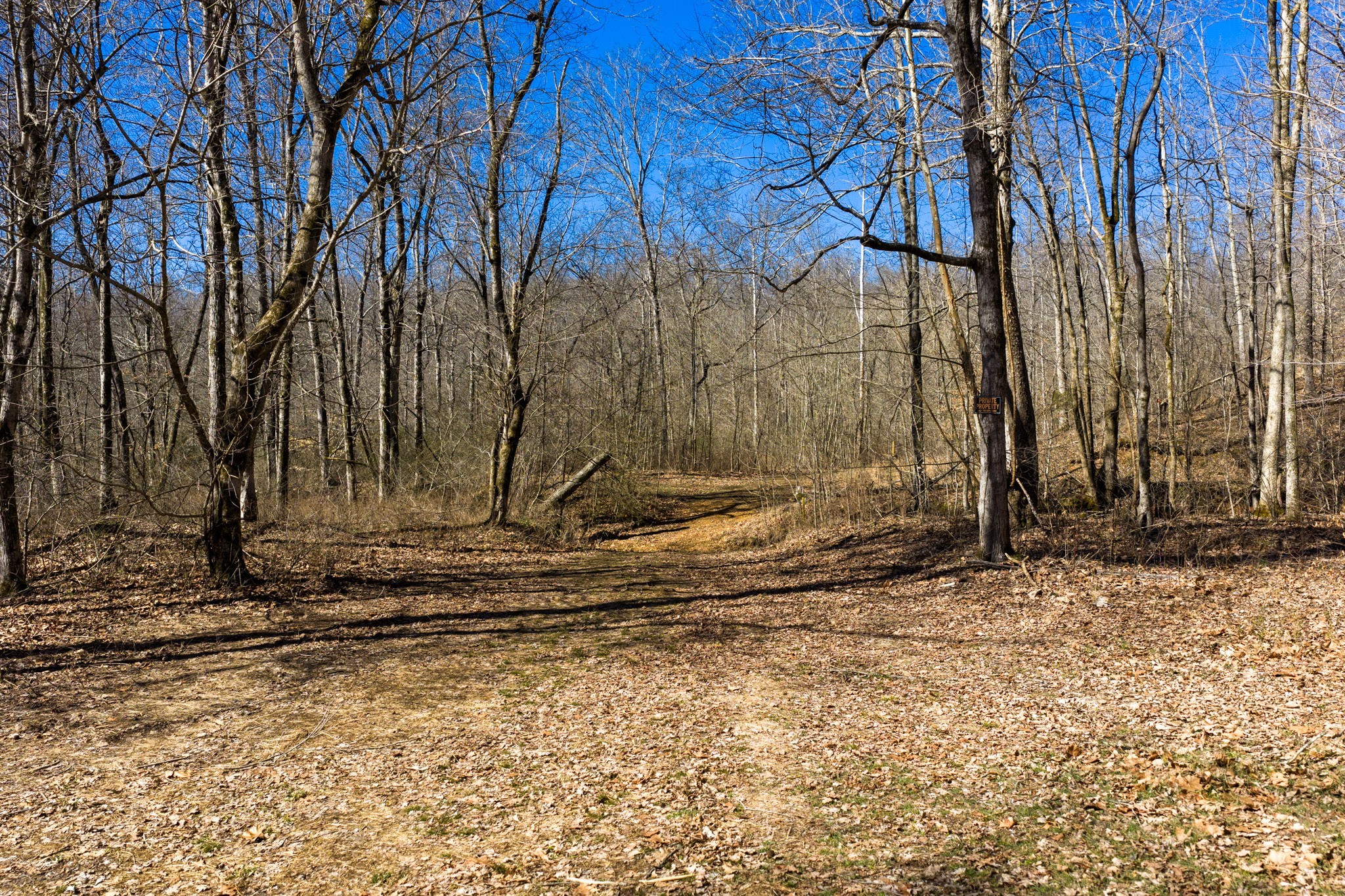 0 Wildcat Road Dickson, TN 37055 - Photo 37 of 37