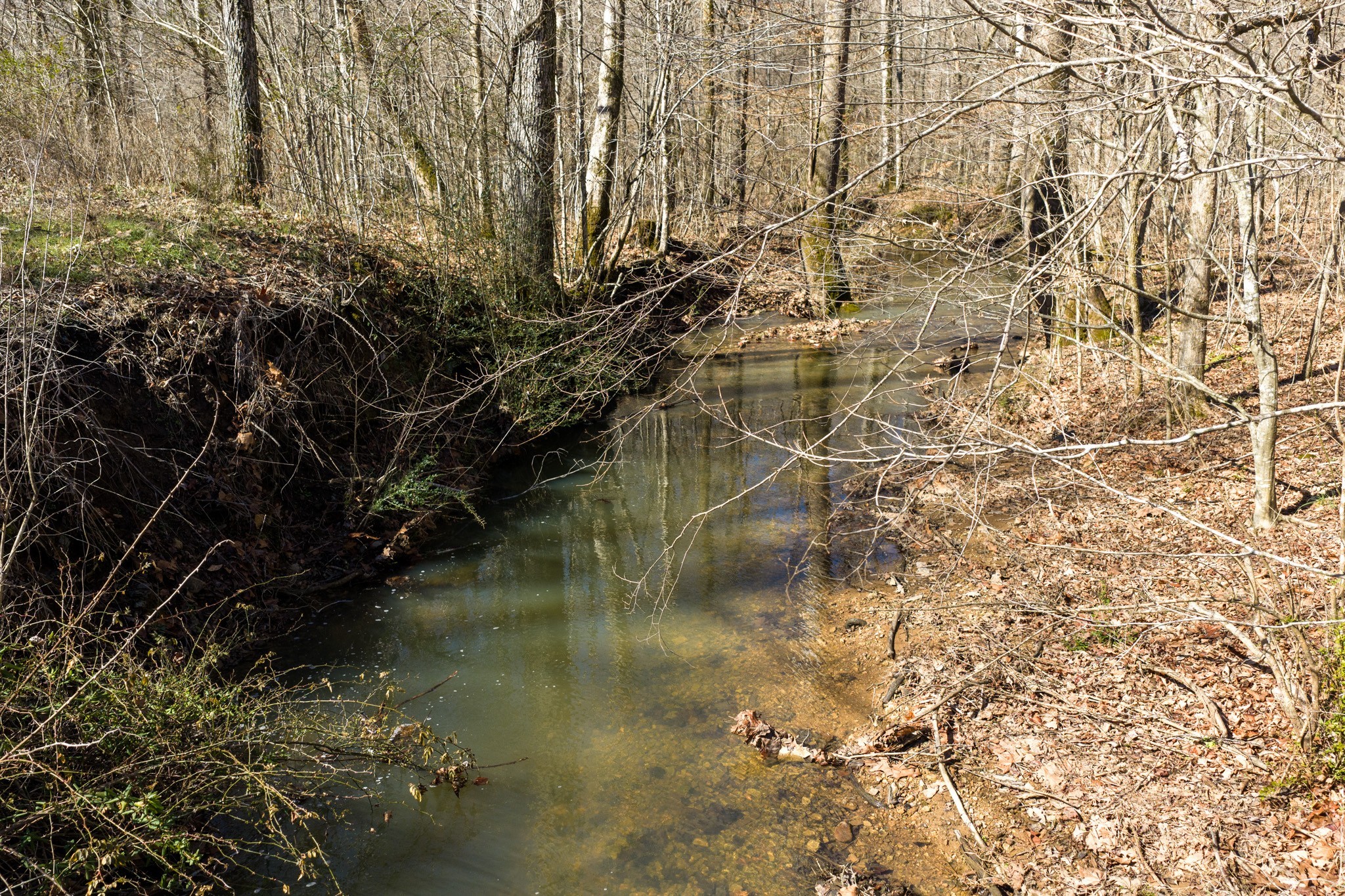 0 Wildcat Road Dickson, TN 37055 - Photo 7 of 37