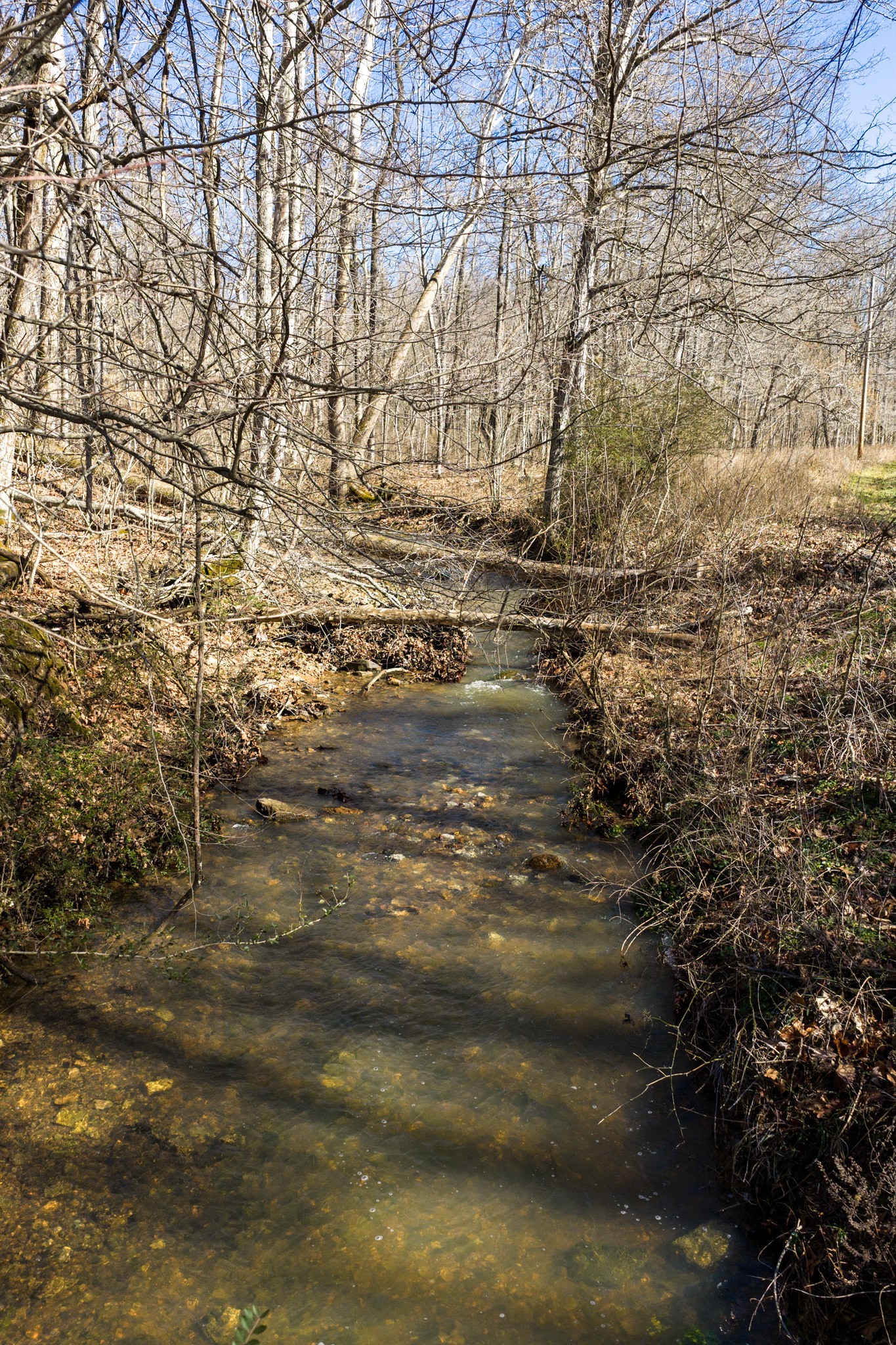 0 Wildcat Road Dickson, TN 37055 - Photo 8 of 37