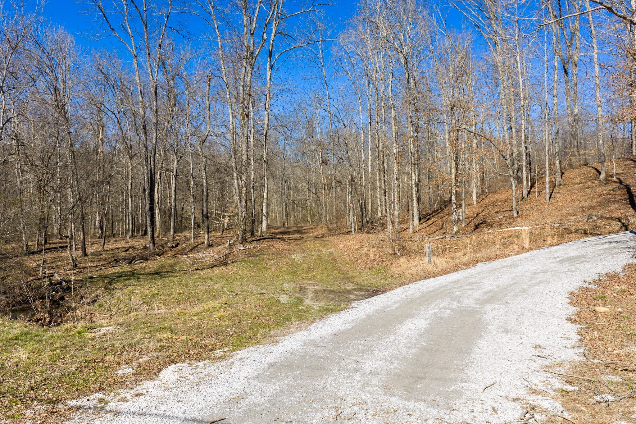 0 Wildcat Road Dickson, TN 37055 - Photo 9 of 37
