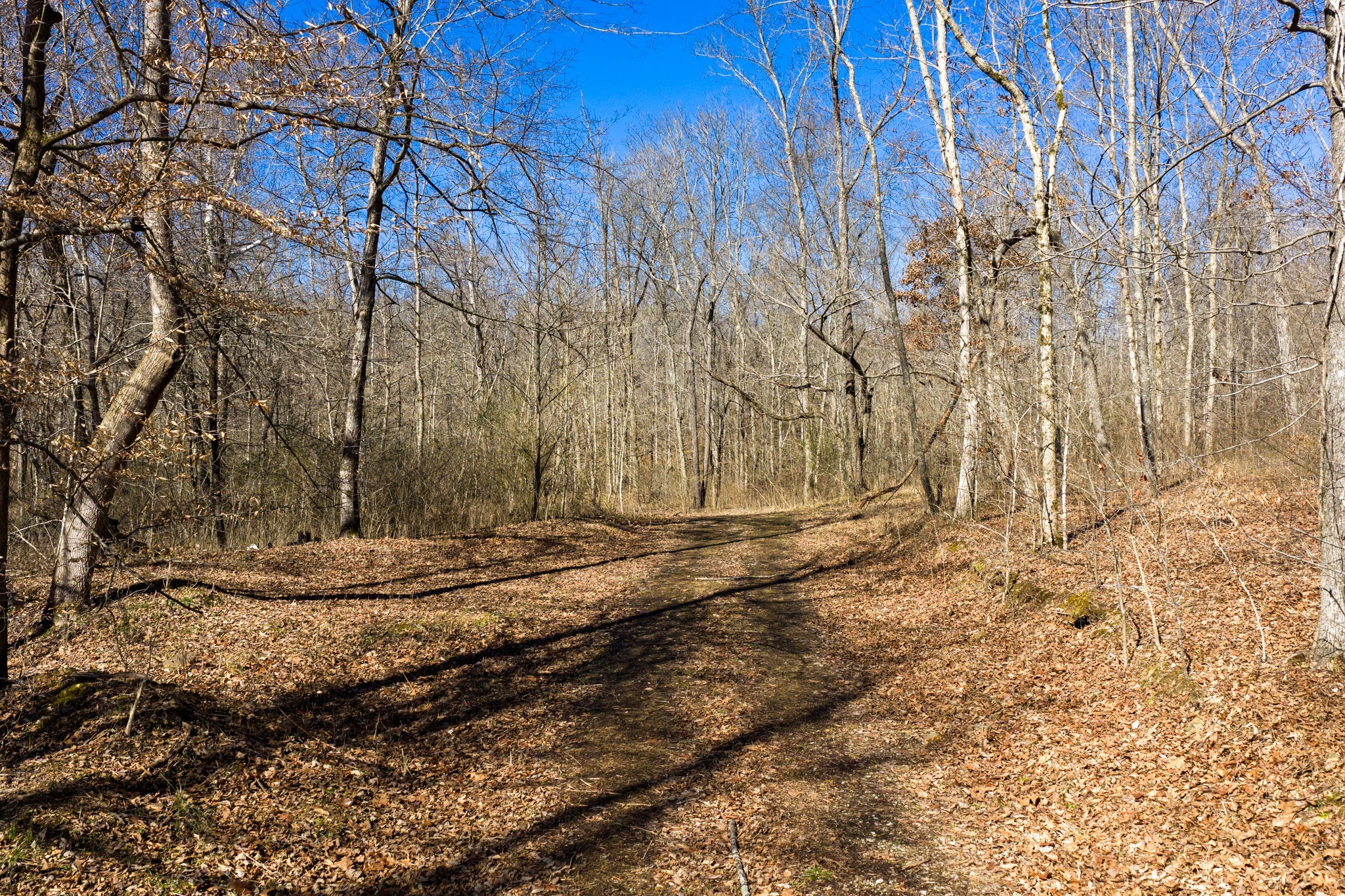 0 Wildcat Road Dickson, TN 37055 - Photo 10 of 37