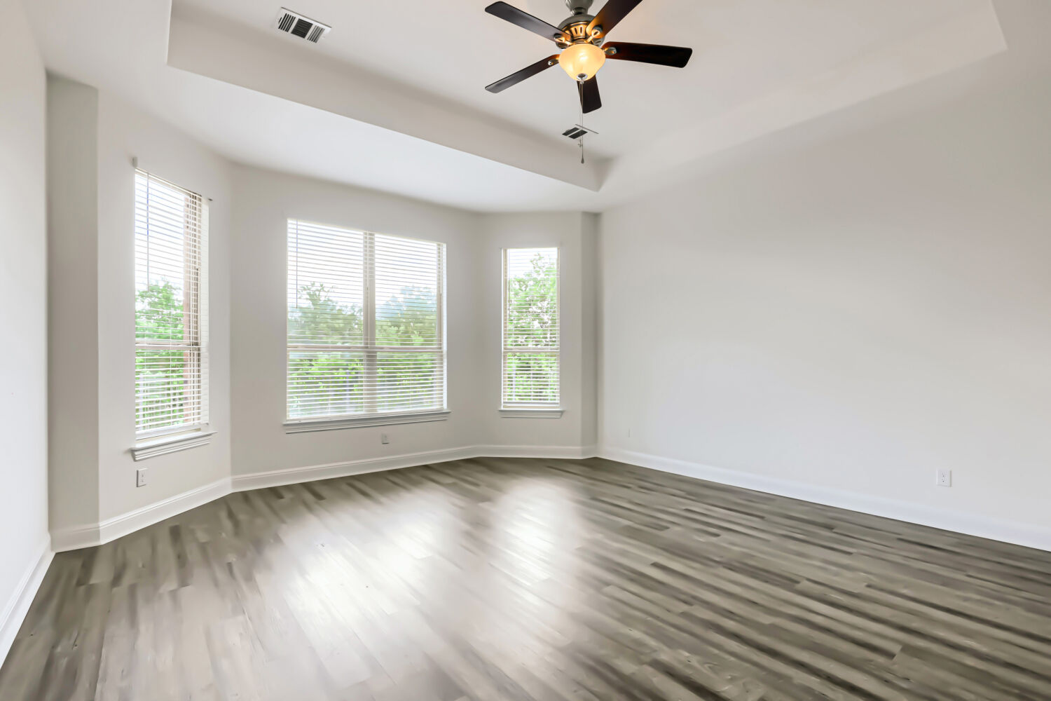 19205 Burrowbridge Road Pflugerville, TX 78660 - Photo 15 of 38 Spacious primary suite features tray ceiling, giant bay window with greenbelt views