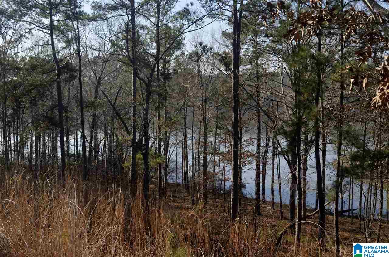 Stillwaters Trail, Unit 179 Sylacauga, AL 35151 - Photo 5 of 20
