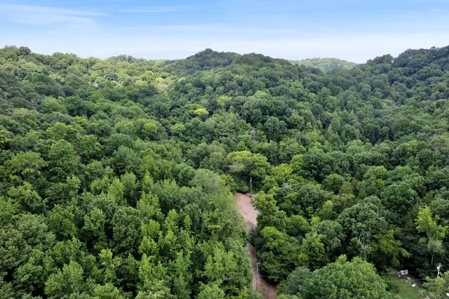 an aerial view of a forest with houses