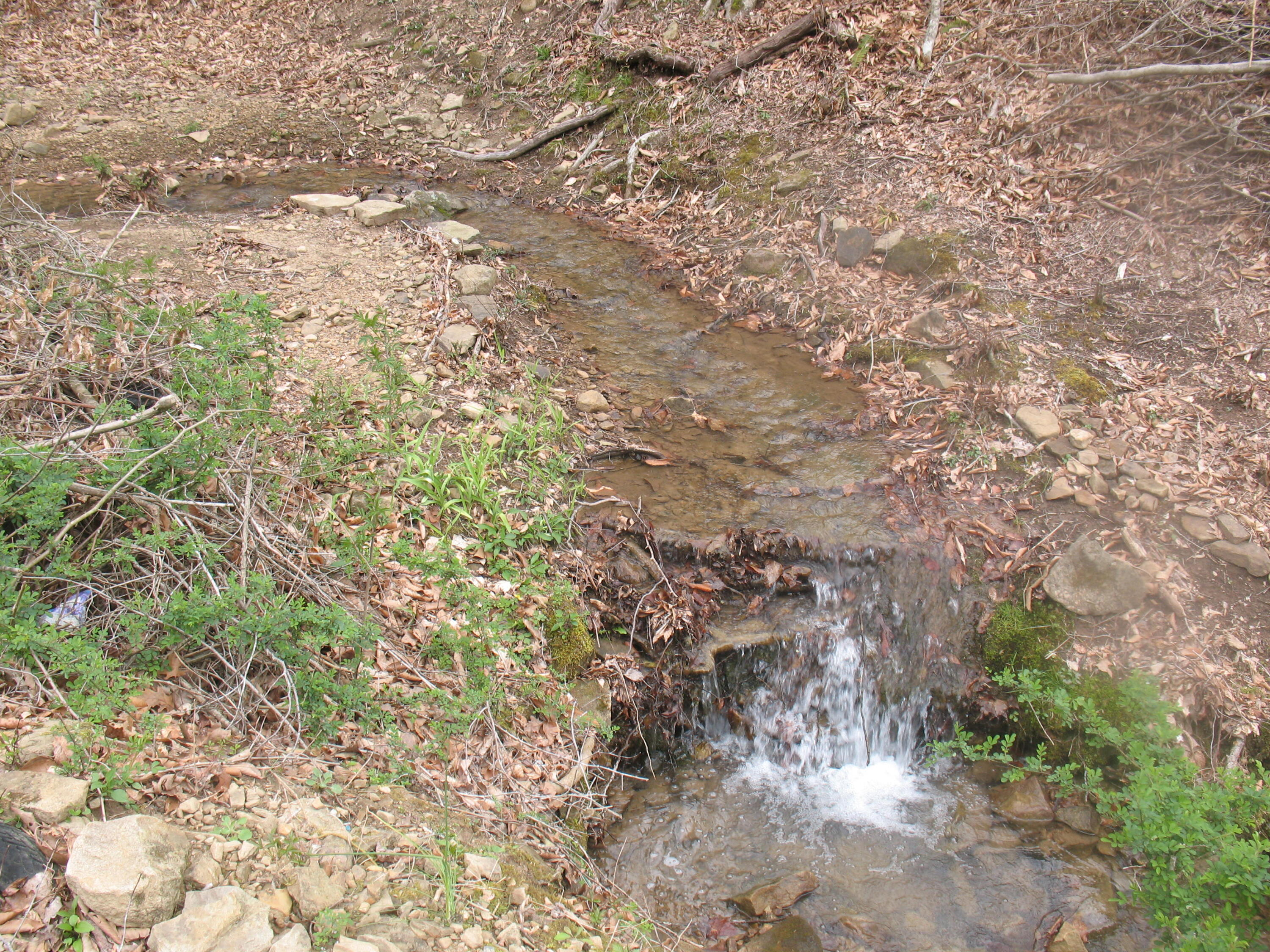 9999 Daniel Branch Road Essie, KY 40827 - Photo 2 of 19 IMG_4586