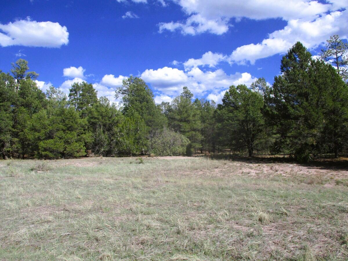 Lot 5 Copperweed Road Ramah, NM 87321 - Photo 5 of 88 Gallery Image 5