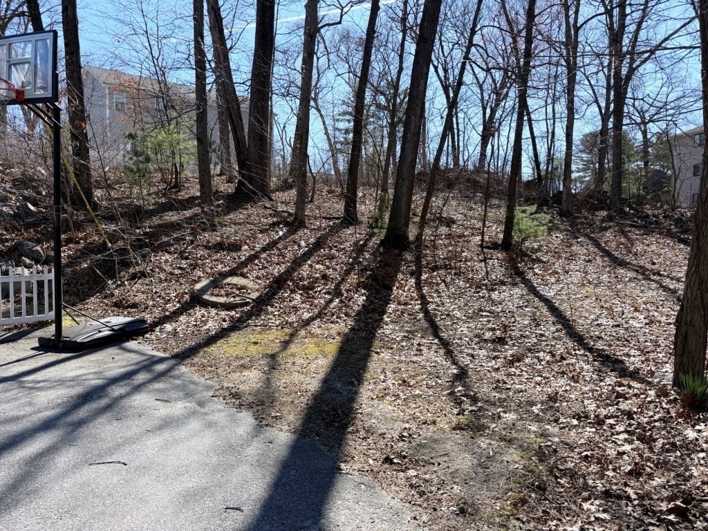 13 Pocasset Street Worcester, MA 01604 - Photo 1 of 12 a view of a yard with plants and trees