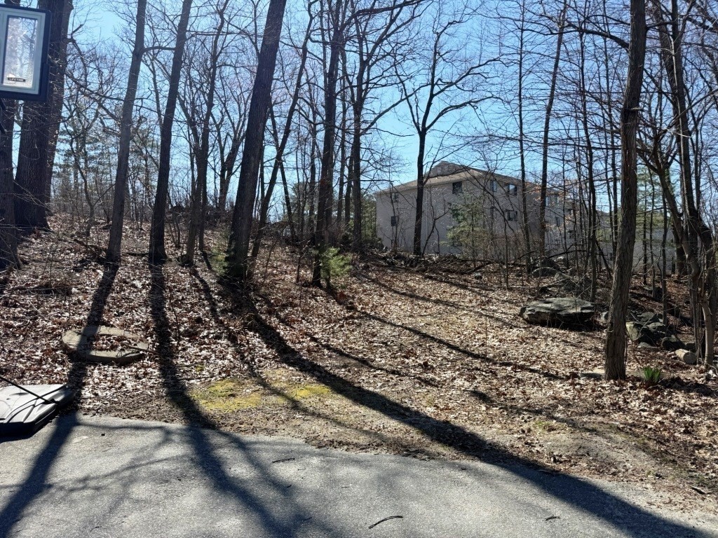 13 Pocasset Street Worcester, MA 01604 - Photo 5 of 12 a view of a backyard with trees