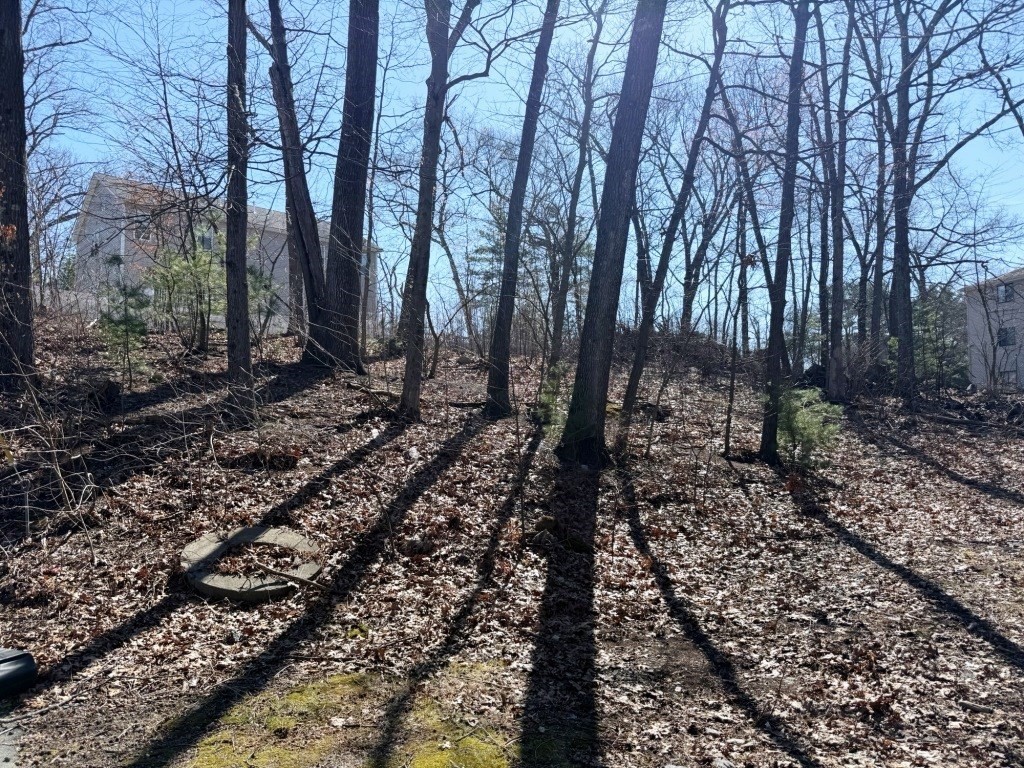 13 Pocasset Street Worcester, MA 01604 - Photo 6 of 12 a view of a yard with lots of trees