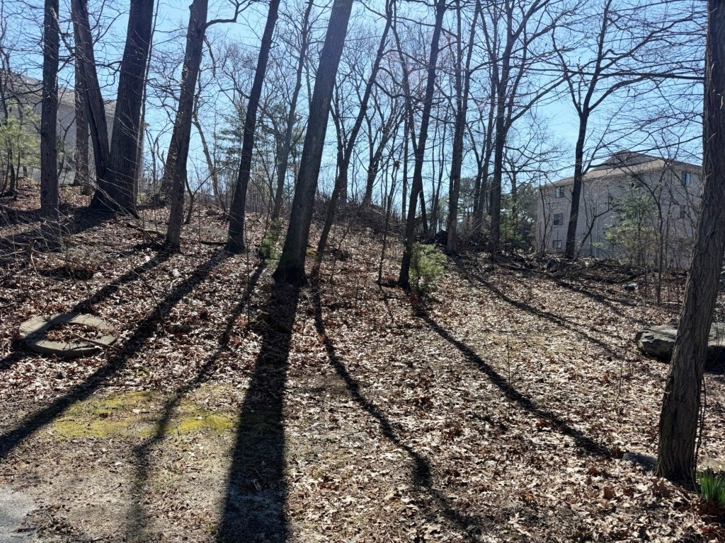 13 Pocasset Street Worcester, MA 01604 - Photo 7 of 12 a view of a yard