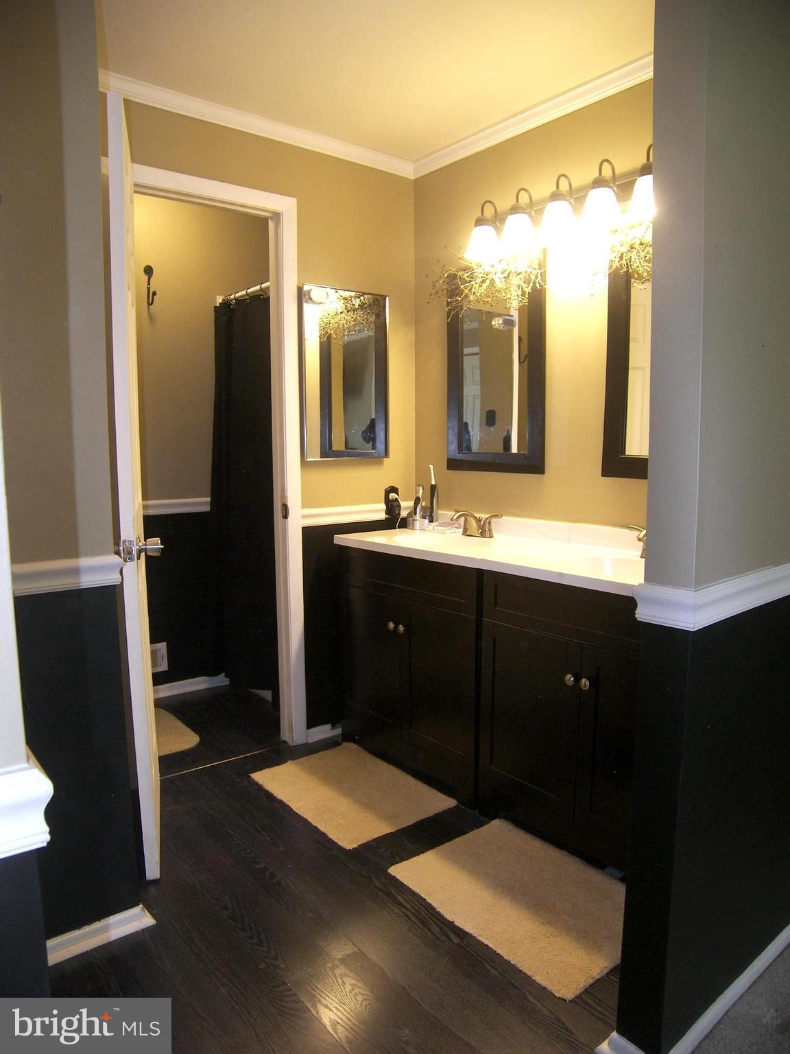 9729 Softwater Way Columbia, MD 21046 - Photo 12 of 20 Bath (Master)