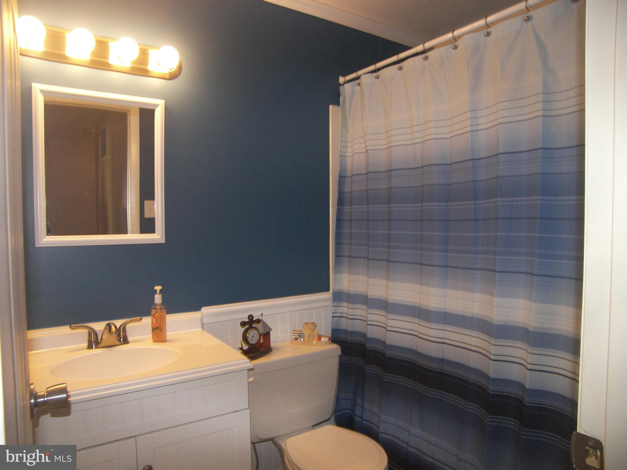 9729 Softwater Way Columbia, MD 21046 - Photo 14 of 20 Bath