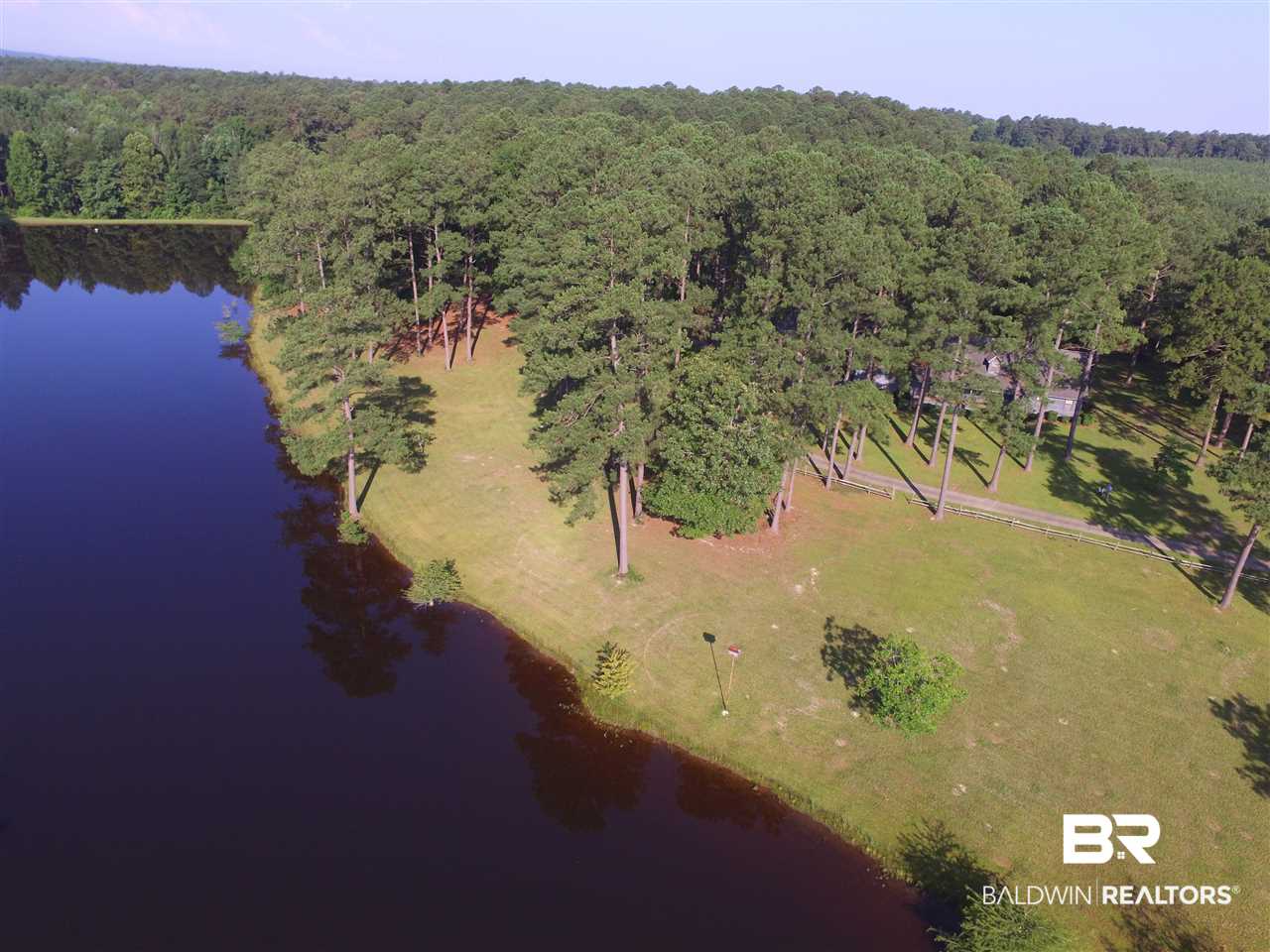 744 Fox Trot Road Grove Hill, AL 36451 - Photo 8 of 46