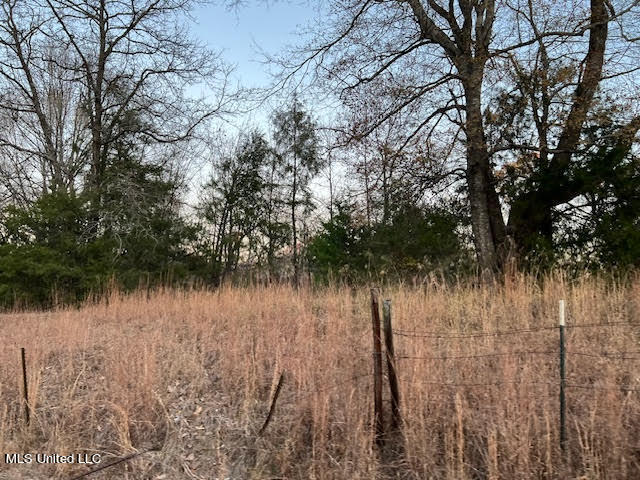 9 Yellow Dog Road Senatobia, MS 38668 - Photo 3 of 4 Yellow Dog Road Lot 9 #2