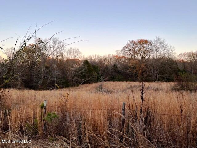9 Yellow Dog Road Senatobia, MS 38668 - Photo 4 of 4 Yellow Dog Rd lot 9