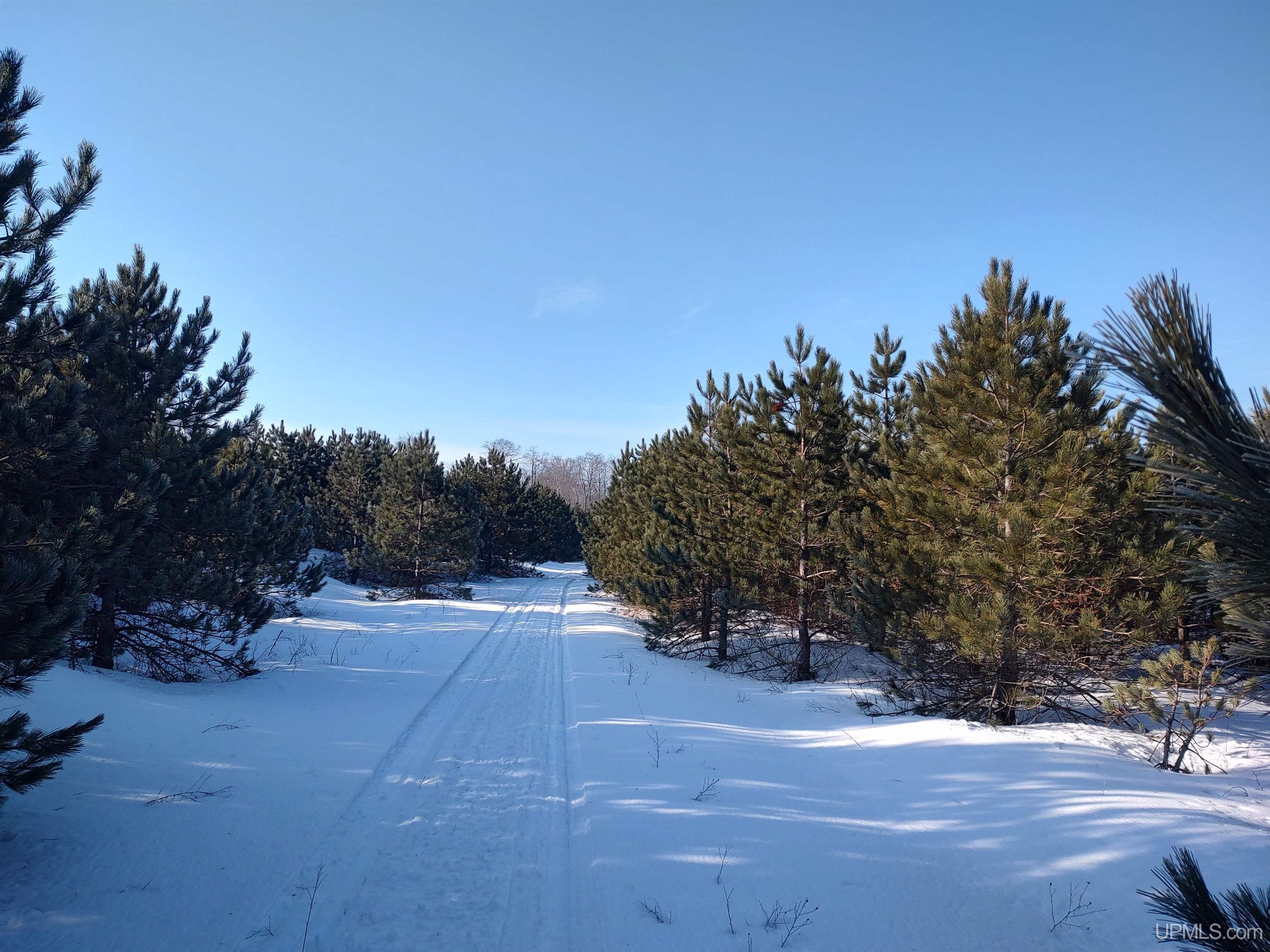 40-acres Gierke Road Manistique, MI 49854 - Photo 17 of 39
