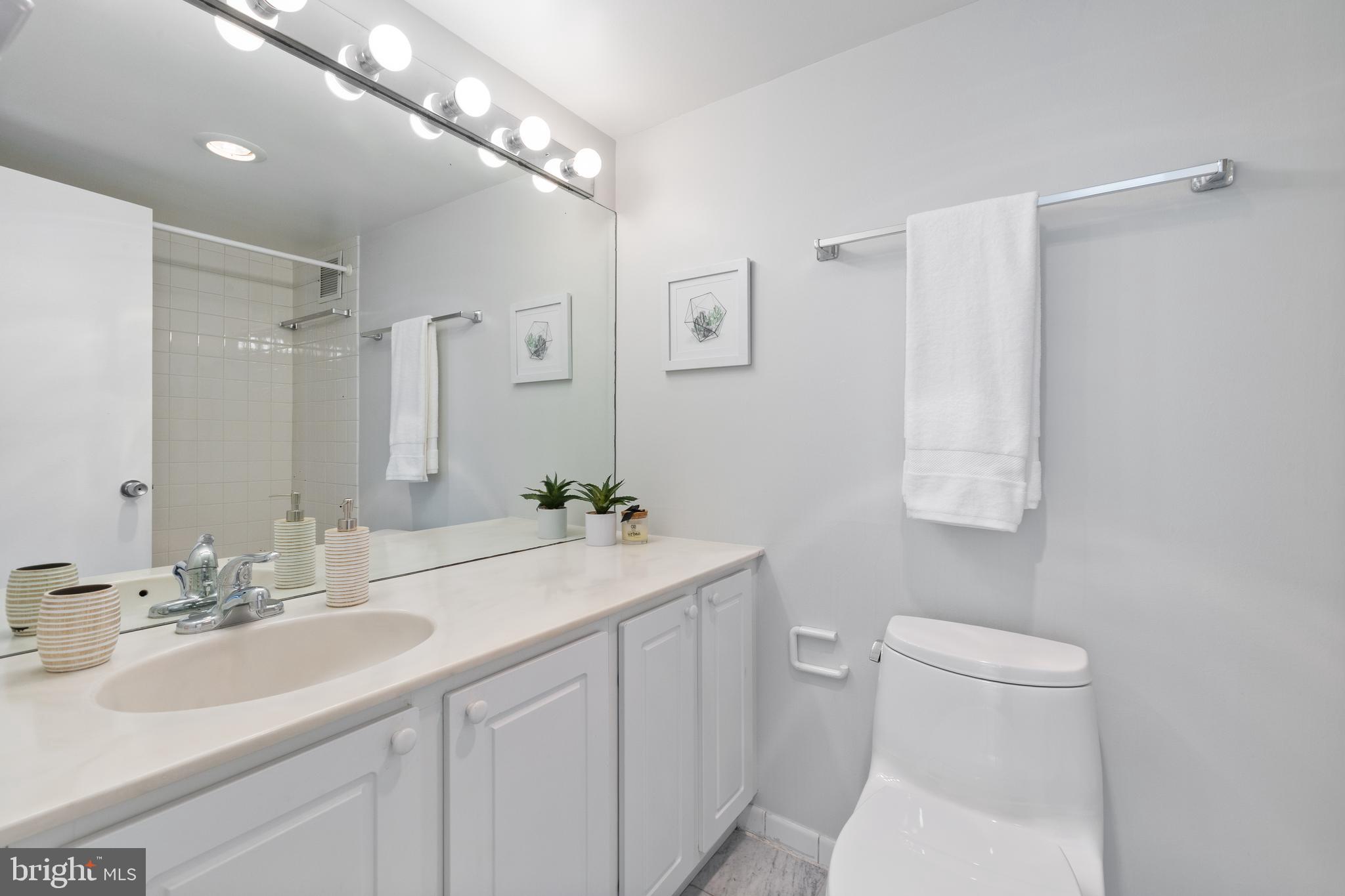 4515 Willard Avenue, Unit 1203S Chevy Chase, MD 20815 - Photo 18 of 40 primary bath