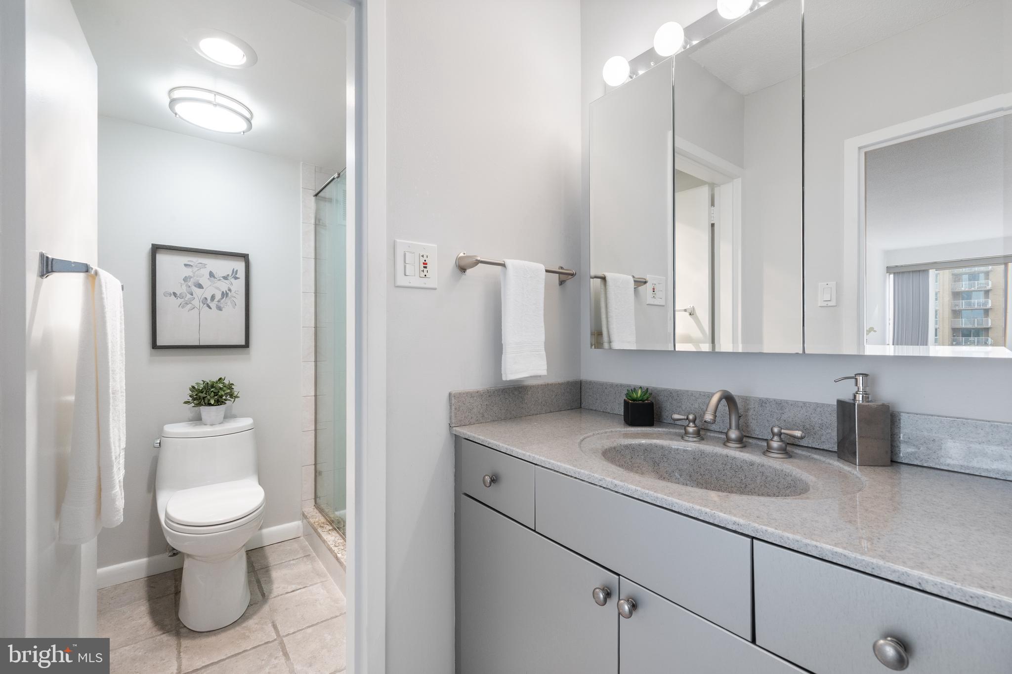 4515 Willard Avenue, Unit 1203S Chevy Chase, MD 20815 - Photo 23 of 40 Private area in the hall bath