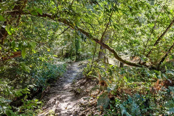$1,199,000 | 9935 Occidental Road, Sebastopol, CA 95472