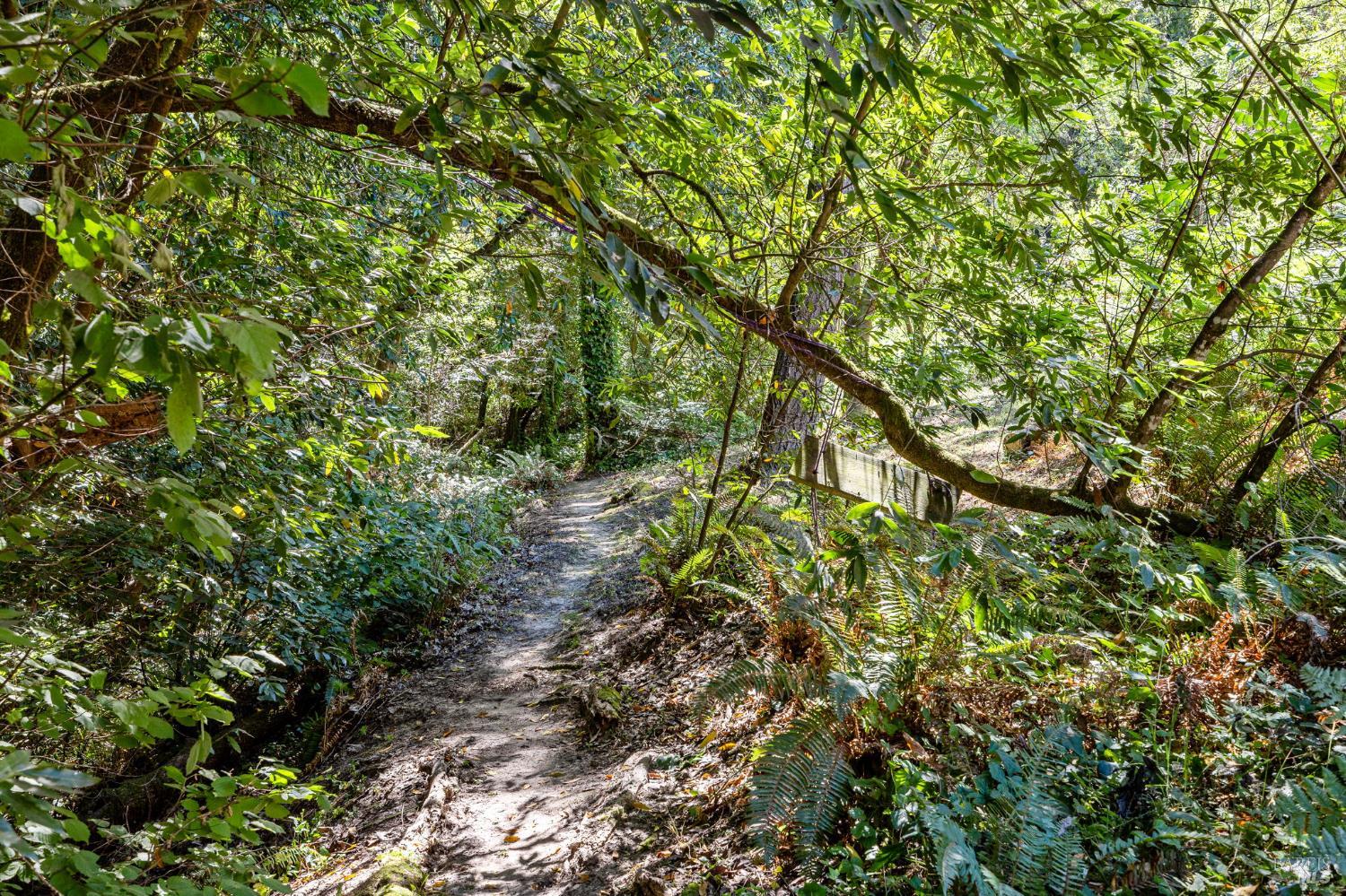 9935 Occidental Road Sebastopol, CA 95472 - Photo 30 of 53 The walking trail
