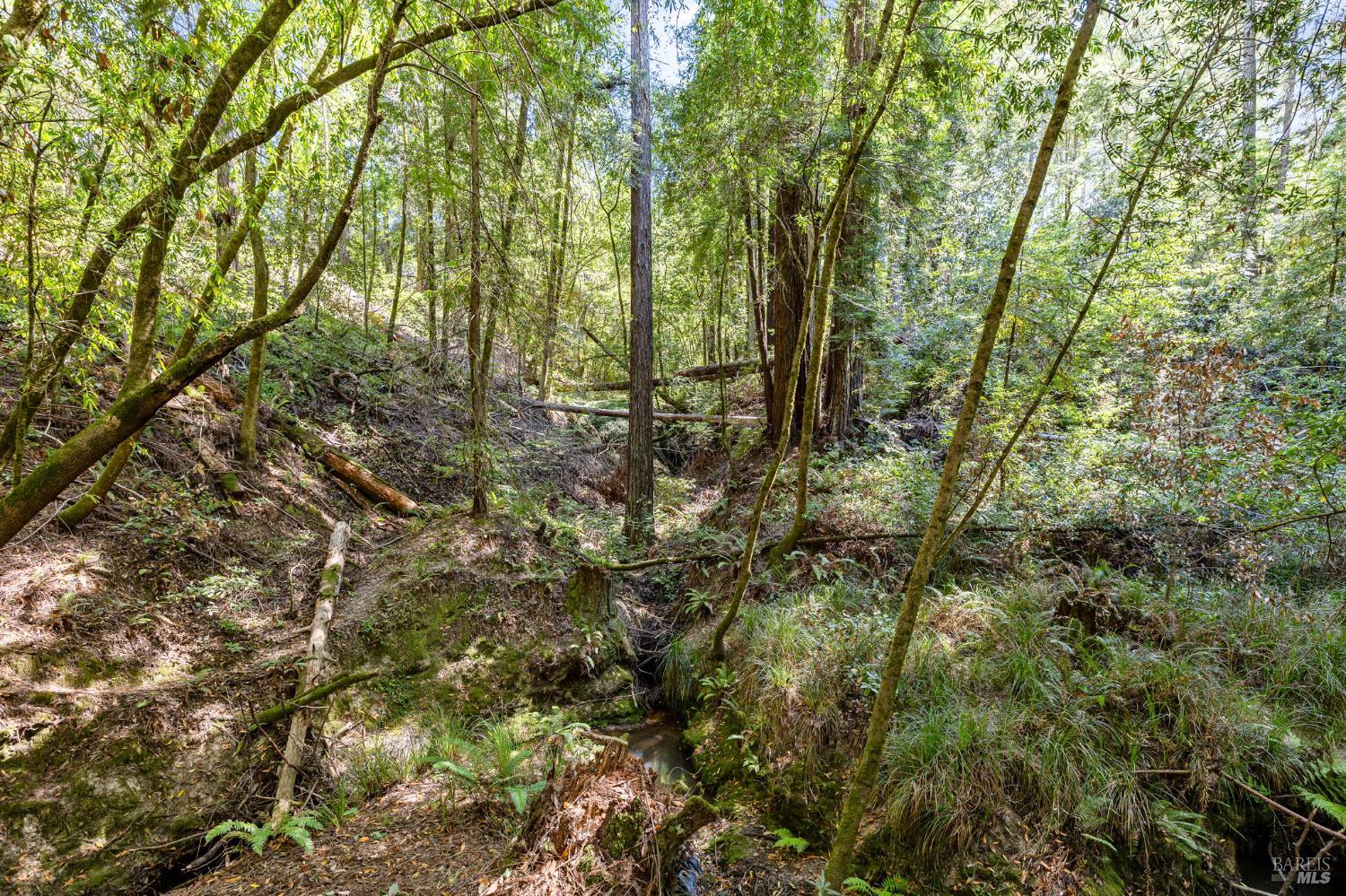 9935 Occidental Road Sebastopol, CA 95472 - Photo 32 of 53