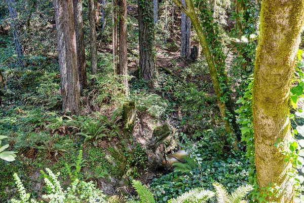 $1,199,000 | 9935 Occidental Road, Sebastopol, CA 95472