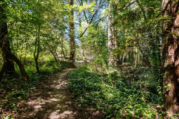 $1,199,000 | 9935 Occidental Road, Sebastopol, CA 95472