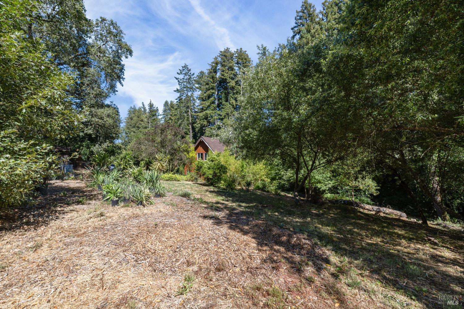 9935 Occidental Road Sebastopol, CA 95472 - Photo 43 of 53