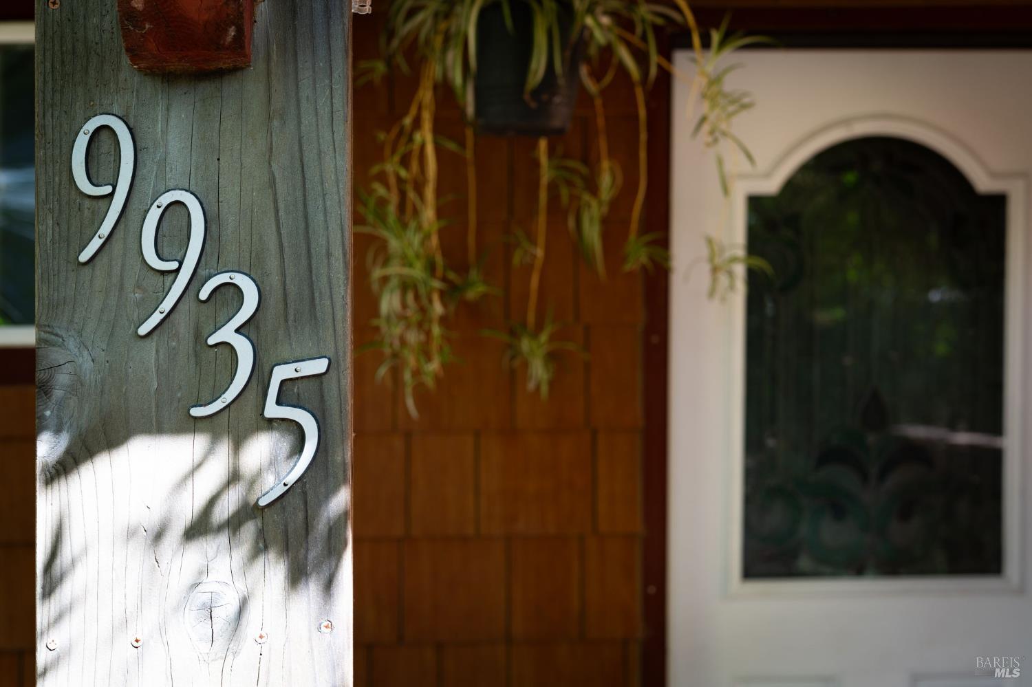 9935 Occidental Road Sebastopol, CA 95472 - Photo 45 of 53