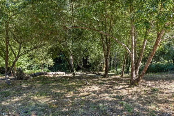 $1,199,000 | 9935 Occidental Road, Sebastopol, CA 95472