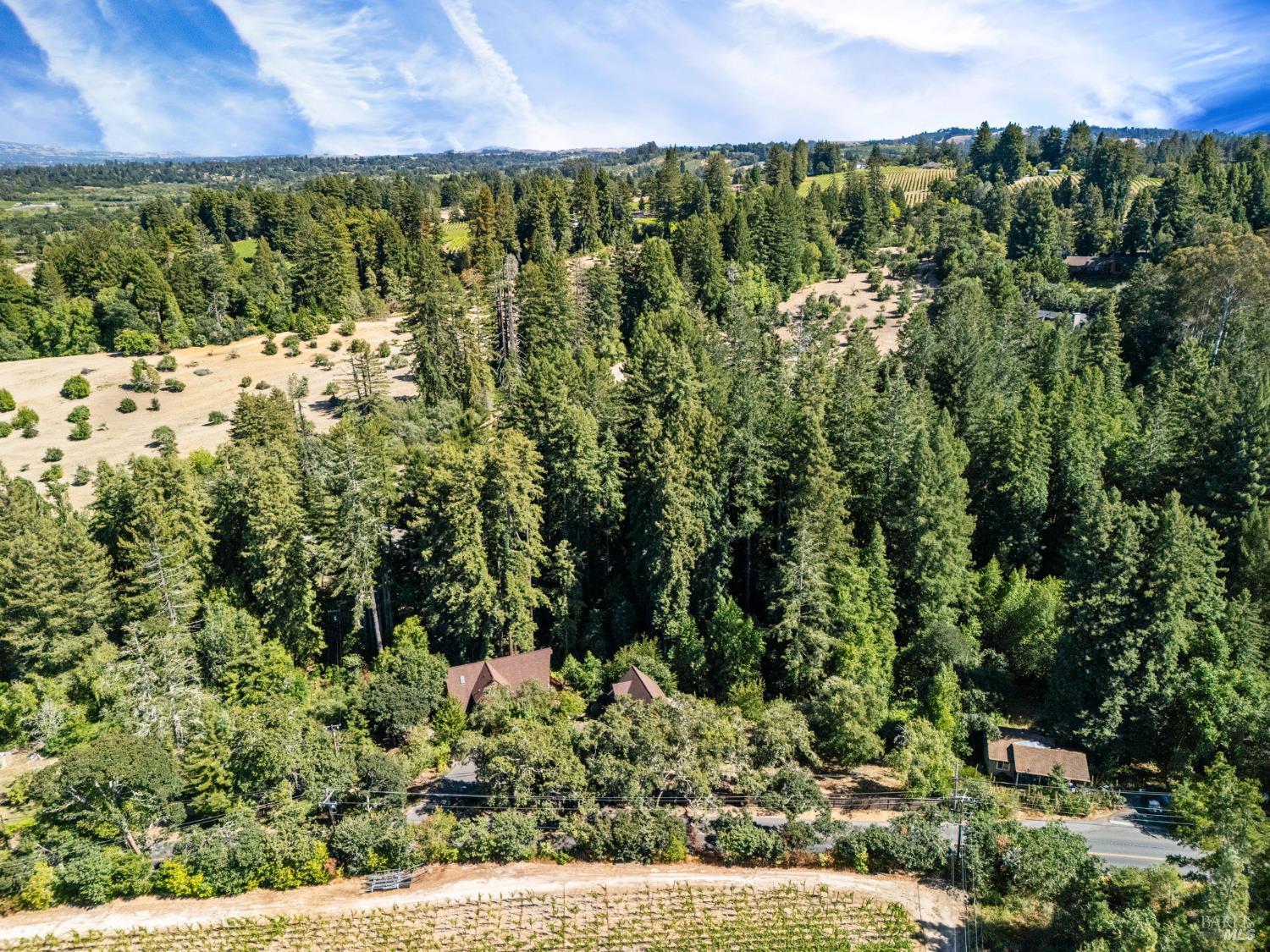 9935 Occidental Road Sebastopol, CA 95472 - Photo 47 of 53 View of the property from up above!