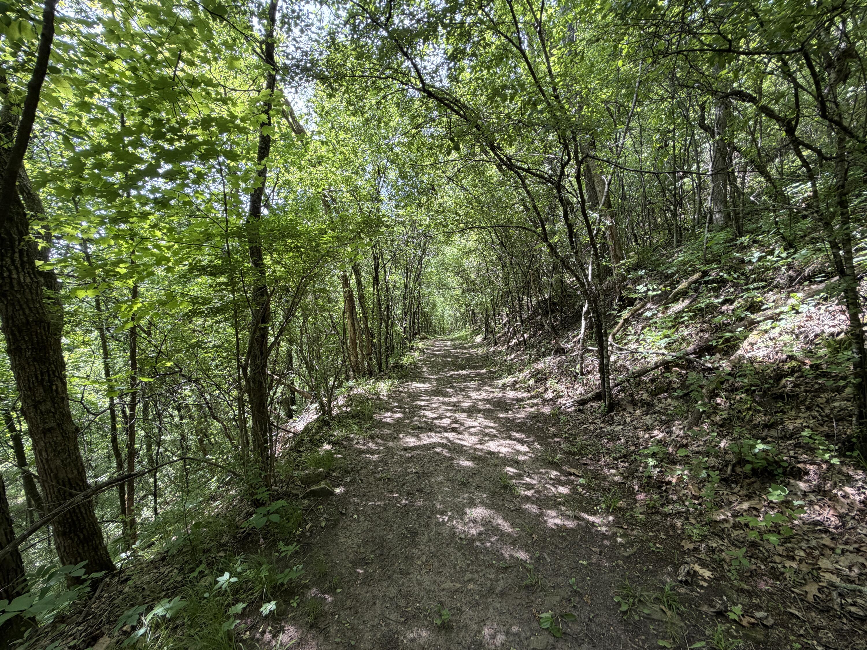 S7750 Carter Valley Lane Kickapoo, WI 54652 - Photo 33 of 54 20260529_163242396_iOS