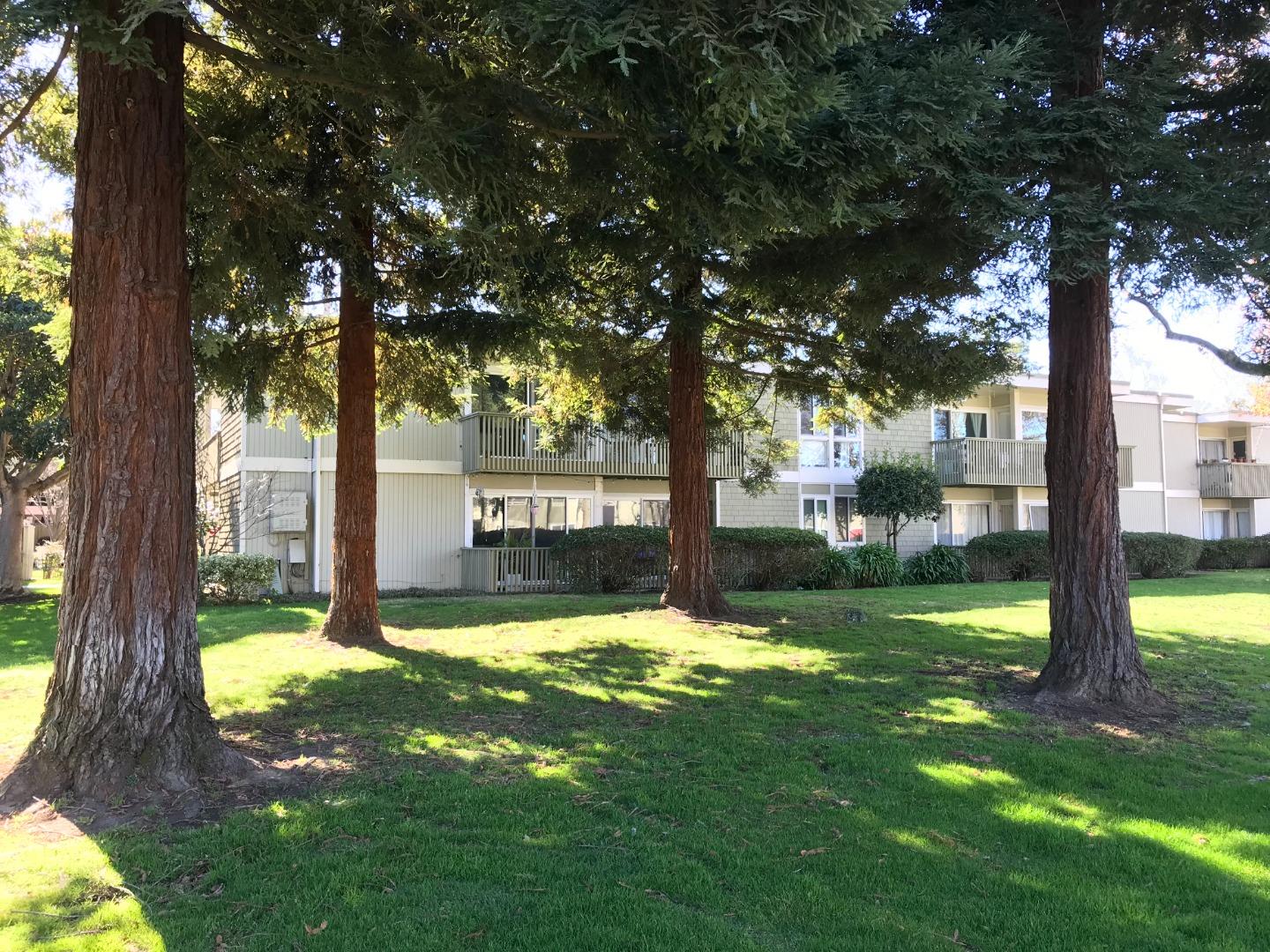 280 Easy Street, Unit 302 Mountain View, CA 94043 - Photo 23 of 24