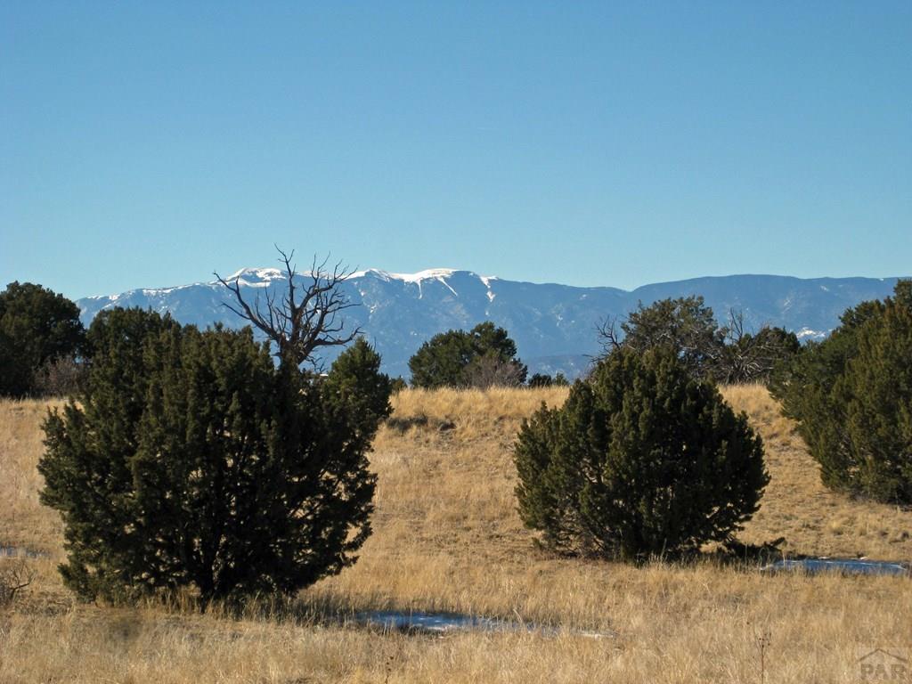 Lot 8 Wyatt Court Rye, CO 81069 - Photo 13 of 21